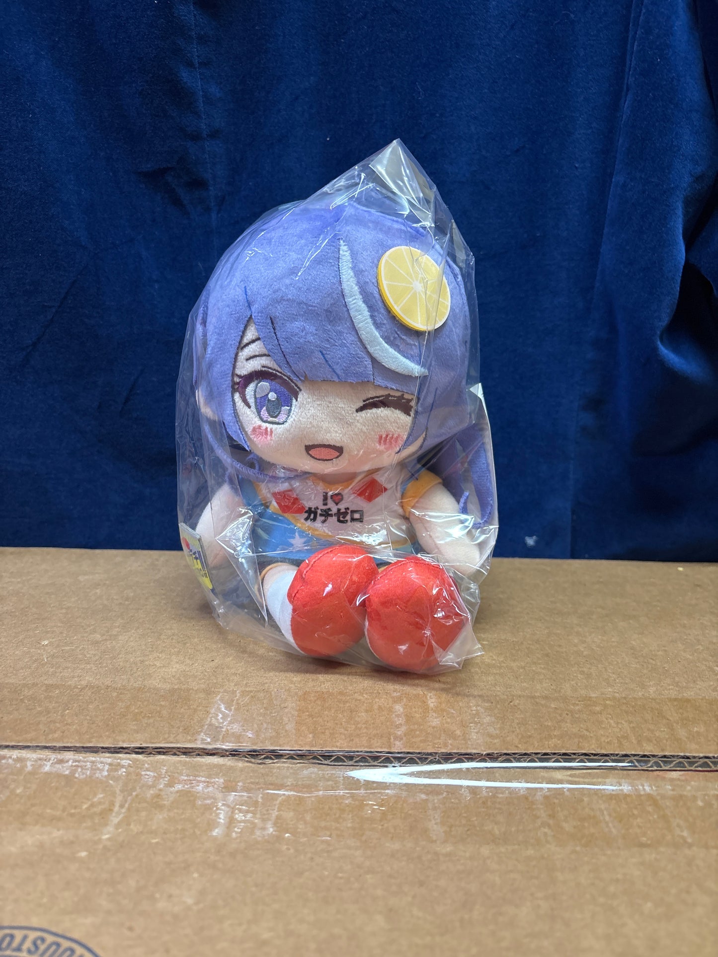 VTUBER LEGEND HOW I WENT KOKORONE SCHWA CHAN PLUSH