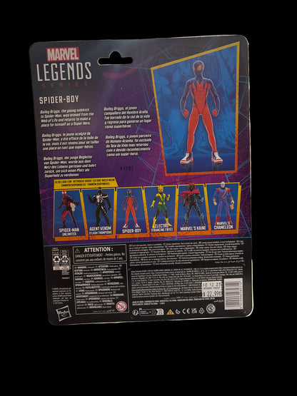 Hasbro Marvel Spider-Man Spider-Boy Legend Series