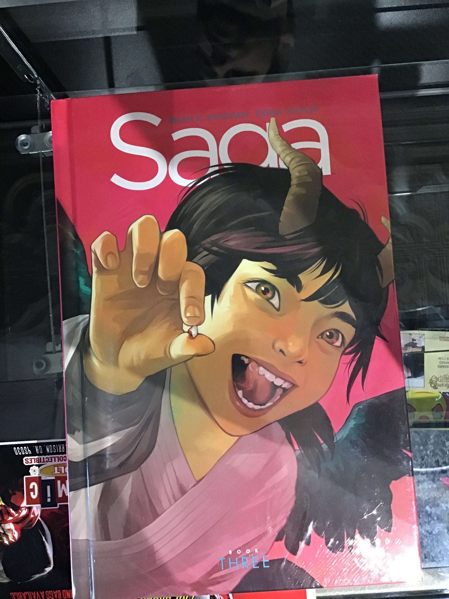 Saga book 3