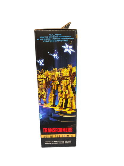 Hasbro Transformers Age Of The Primes Deluxe Combaticon Vortex